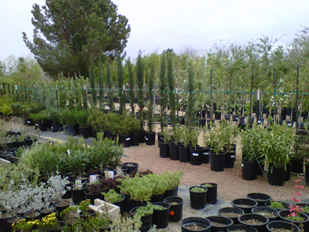 Nursery Goods Accessories For Managing An Analysis On The Increase Of Plants and Bushes