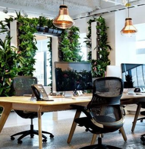 4 Factors To Consider While Designing The Office Space