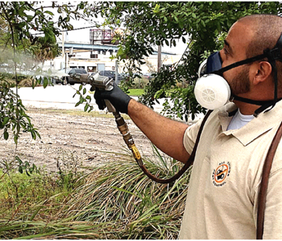 What Makes Pest Controllers So Important In Middlesex?