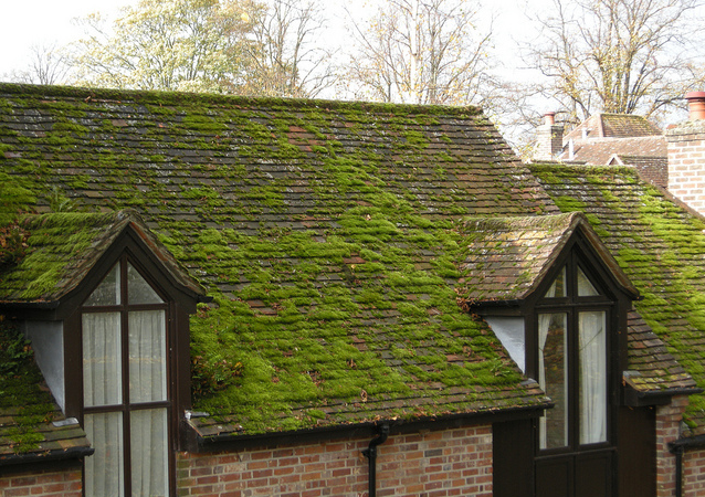 Easy Way To Removing Roofs Moss