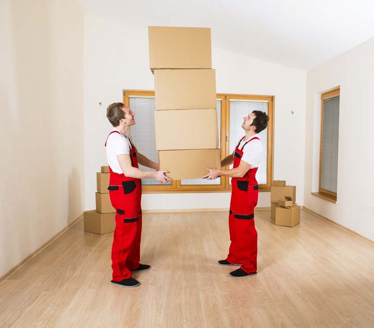 Make Your Shifting An Easy Process With Removals Ruislip