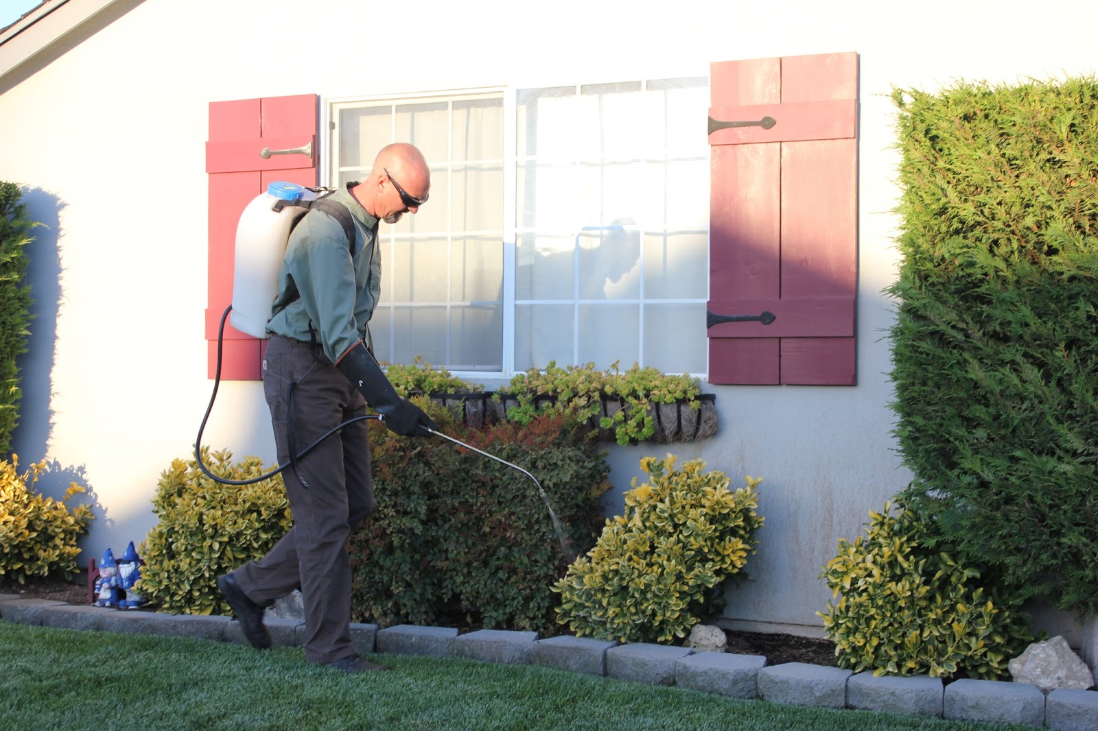 Keeping Your Home Pest-Free Over Summer