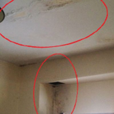 Facing Water Damage? Here Are A Few Reasons and Solutions